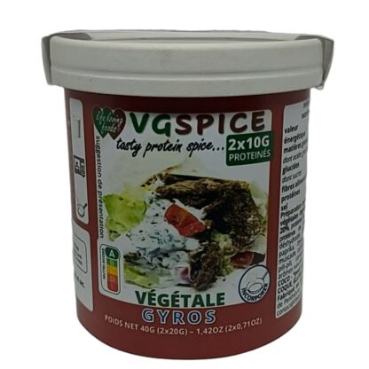 VGSPICE GYROS - Image 5